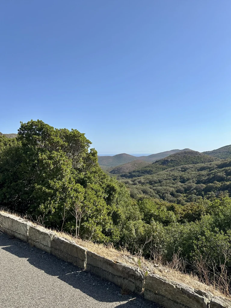 Barcaggio