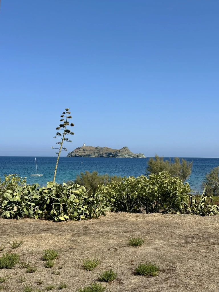 Barcaggio