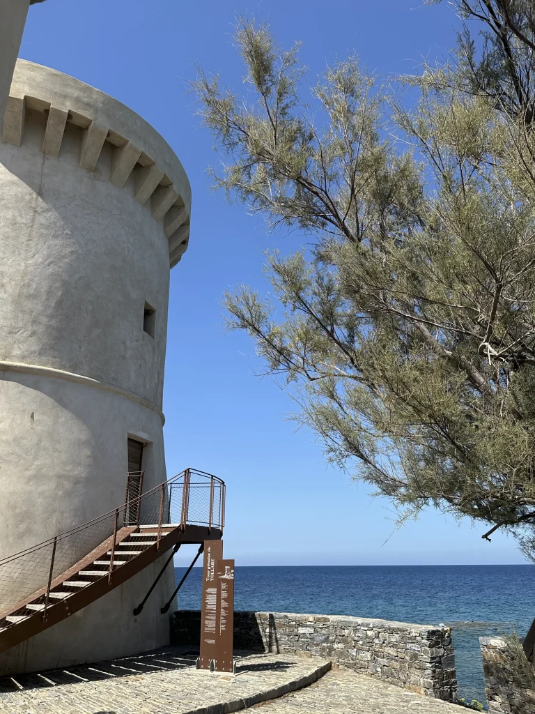 corse