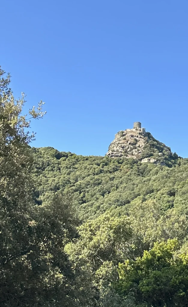 corse