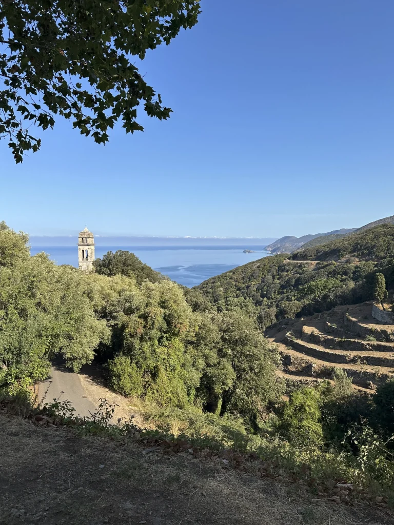 corse