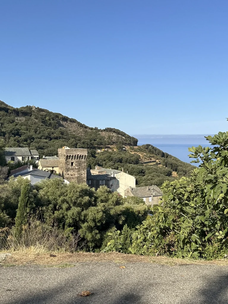 corse