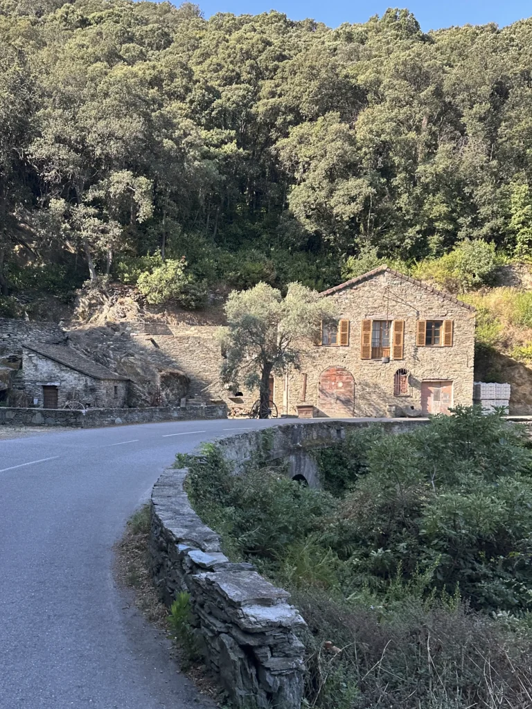 corse