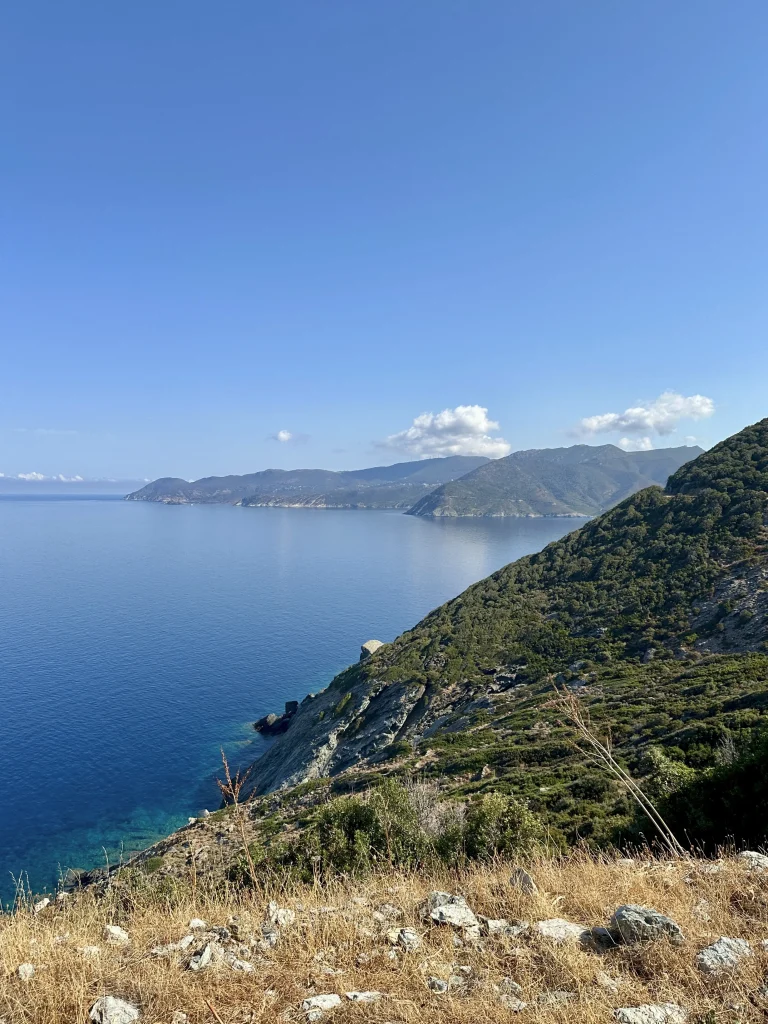 corse