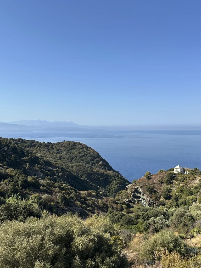 corse