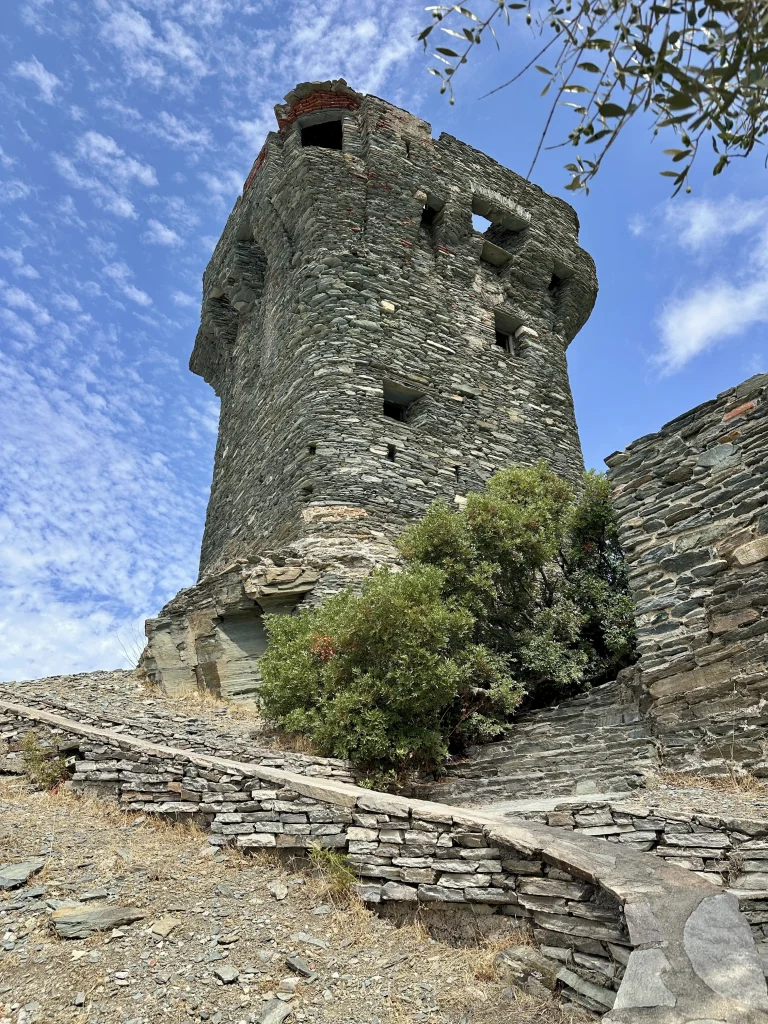 nonza