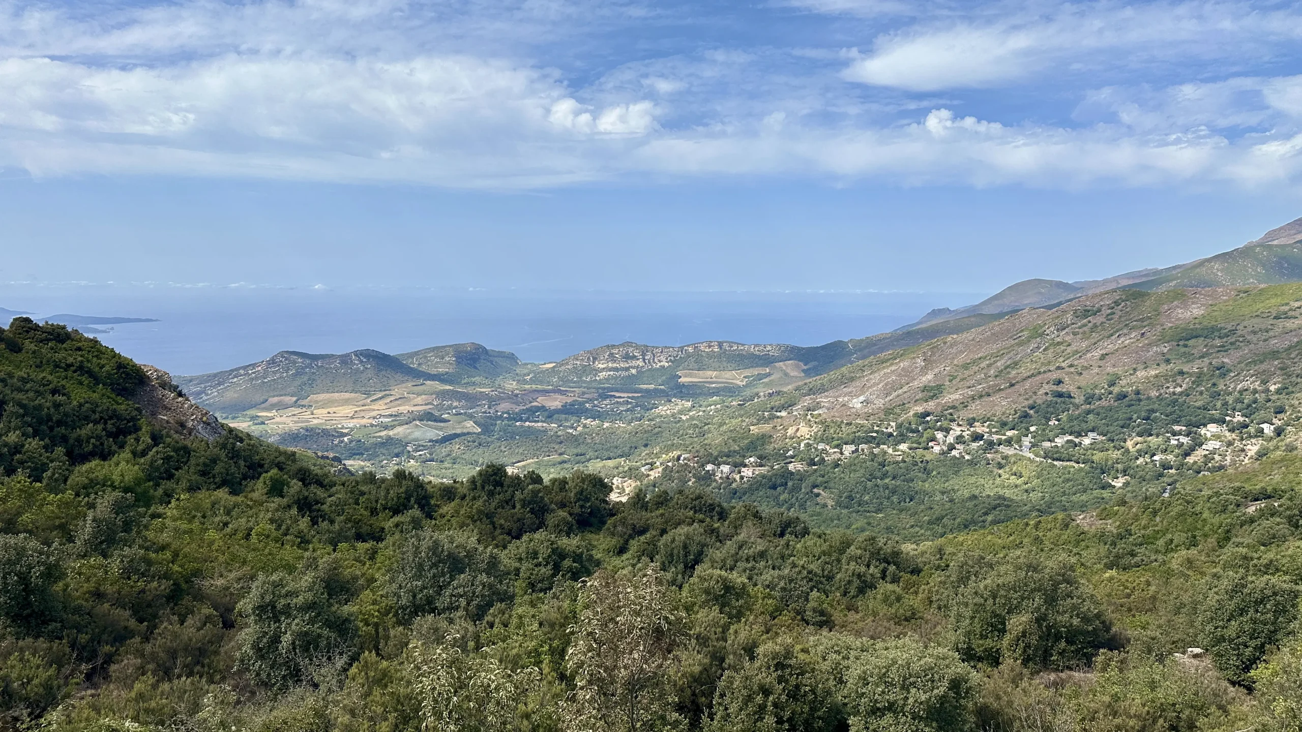 corse